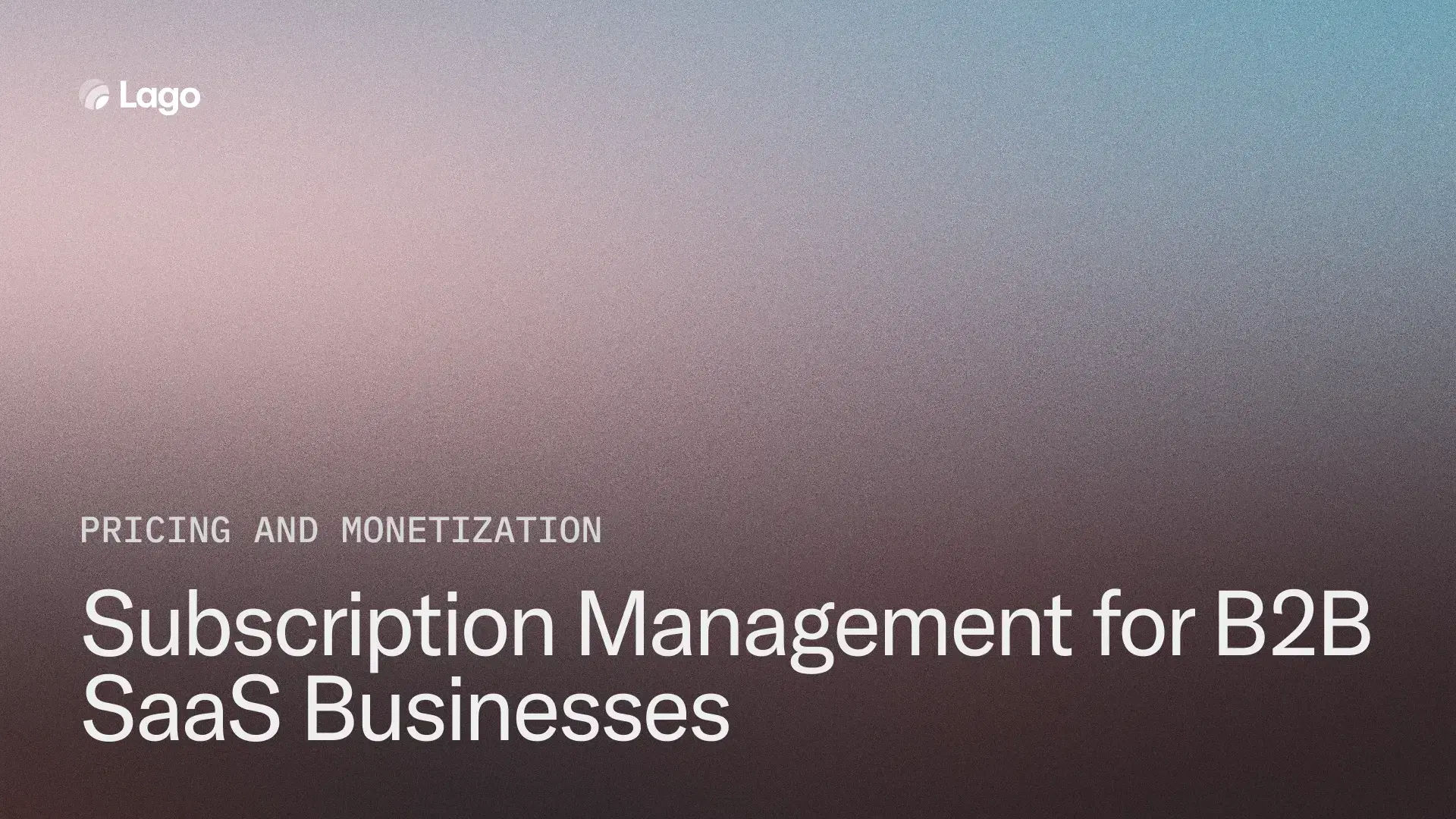 B2B SaaS Subscription Management: Best Practices and Strategies